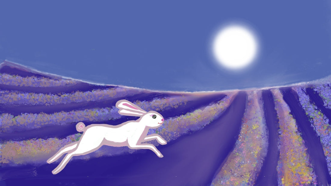 Hare | Awaken Your Inner Trickster