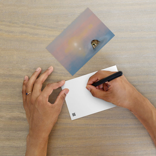 Walrus Standard Postcard | PittaPat