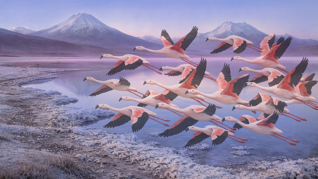 Finding Balance in a Sea of Sorrows