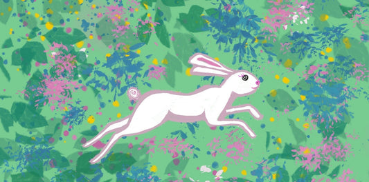 Hare |  Awaken Your Inner Trickster