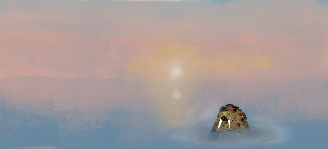 A walrus peeking out from the frigid sea.