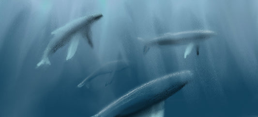 Grandmother Whale Invites You