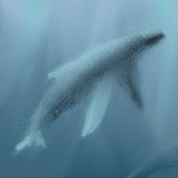 Collection of Whale Spirit products including mugs, totes, journals, and more, symbolizing wisdom, resilience, and ancestral guidance.
