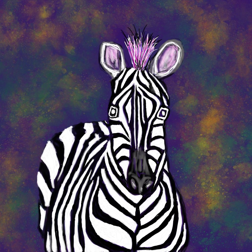 Zebra Spirit Collection