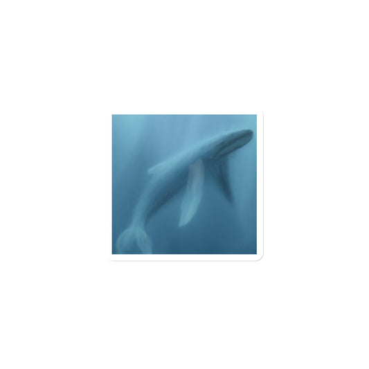 Magnet with misty image of whale in blue waters. symbol of deep wisdom.
