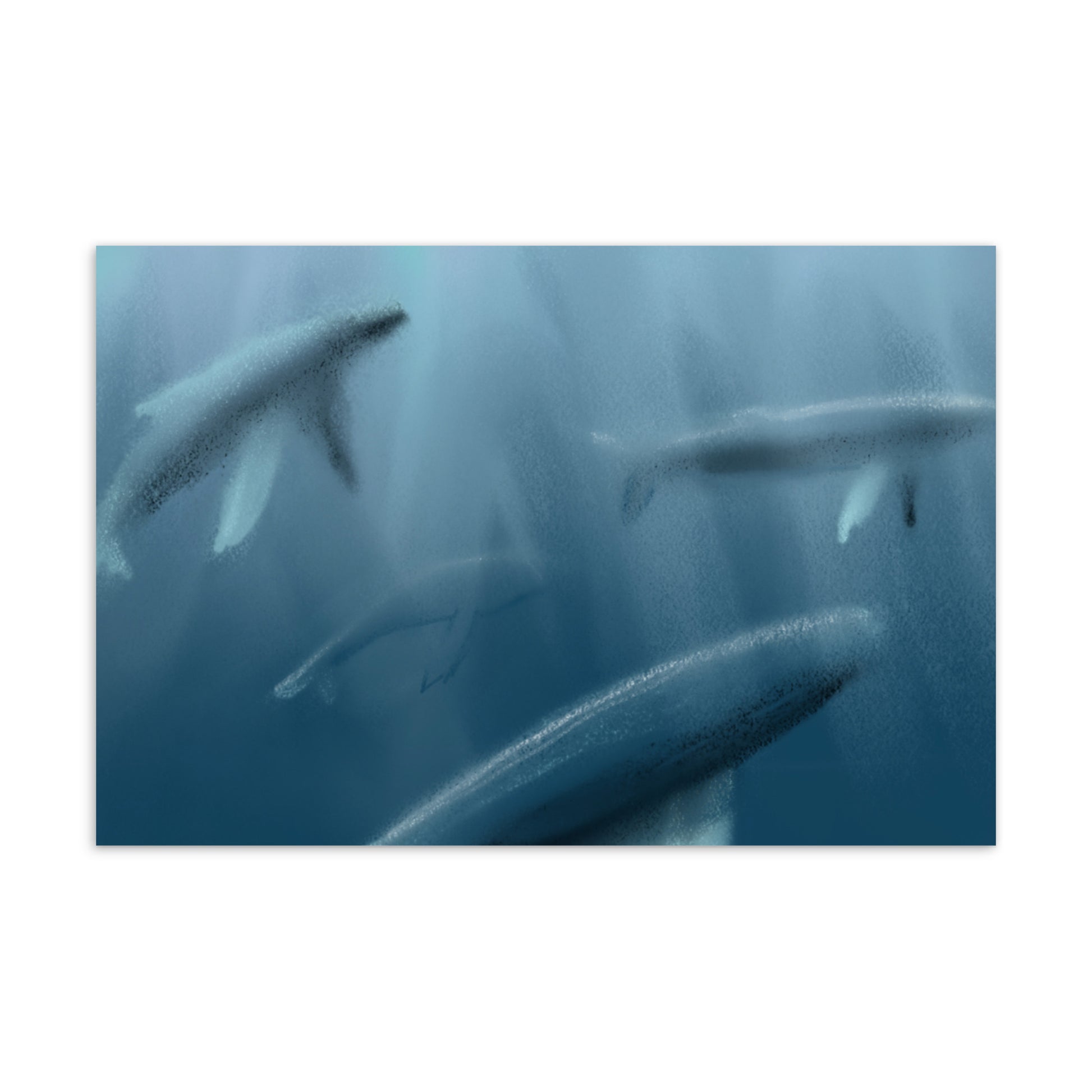 Standard postcard. Artist designed image of a pod whales, symbol of wisdom, family, and community.