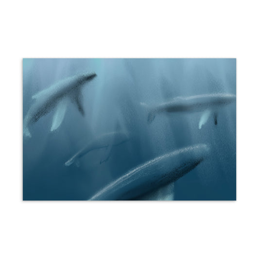 Standard postcard. Artist designed image of a pod whales, symbol of wisdom, family, and community.